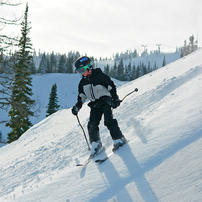 Young skier in powder snow with sun behind