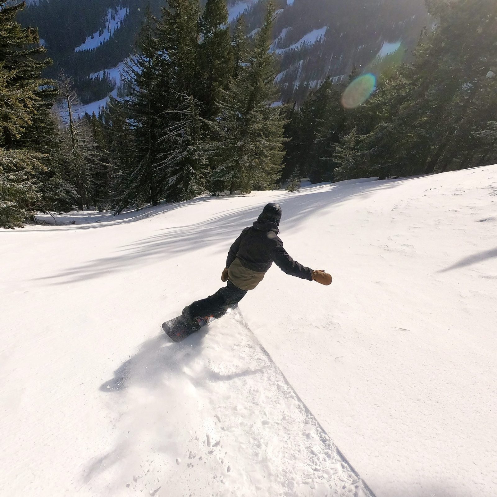 A snowboarder carving down the hill at Mission Ridge with trees in the background
