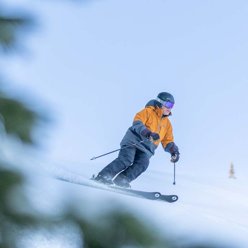 Skier in orange jacket making turn with tree branch out of focus in the foreground.