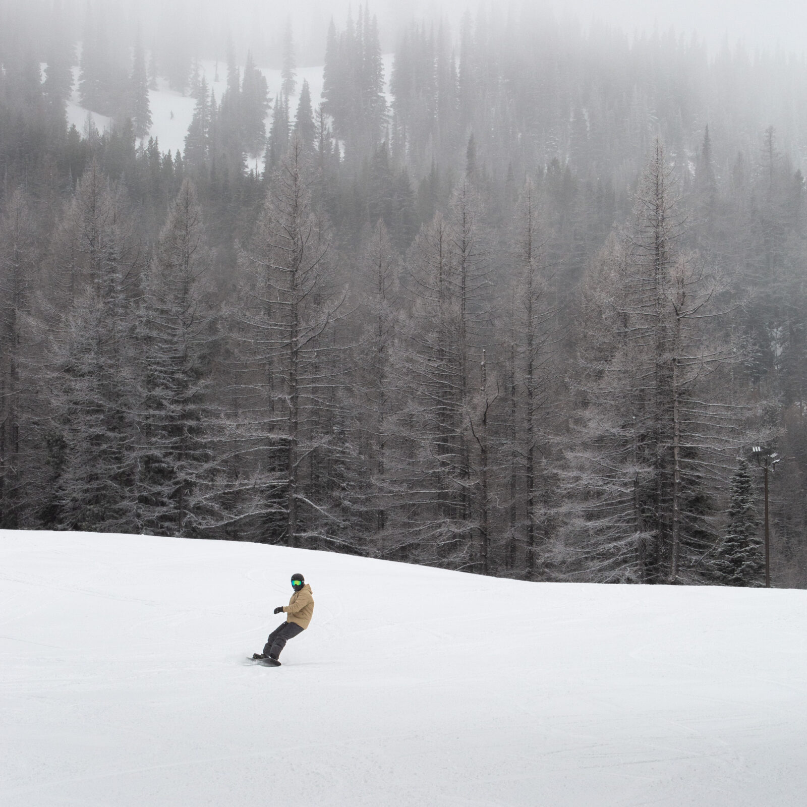 Snowboarder on Lower Tumwater