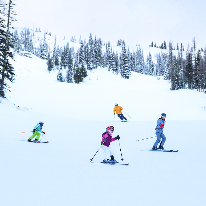Family of skiers coming down groomed run