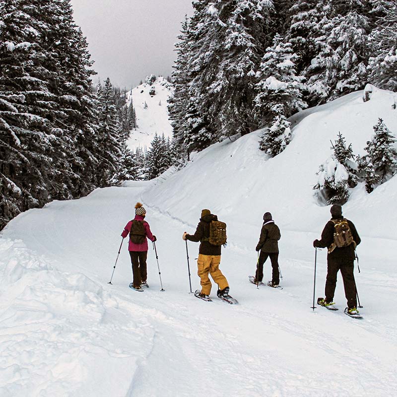 Four snowshoers walking up the summer road at Mission Ridge