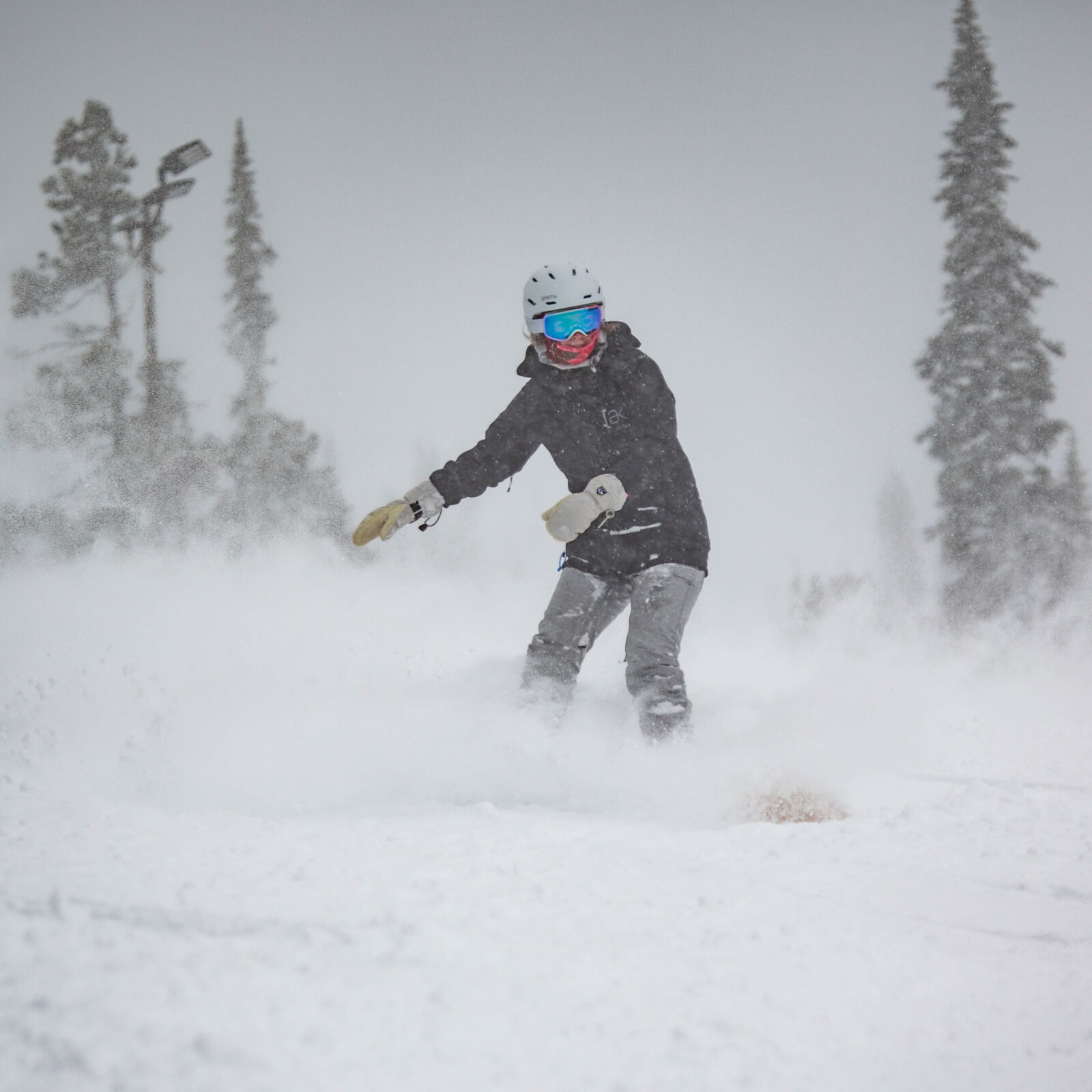 6" of fresh snow overnight!