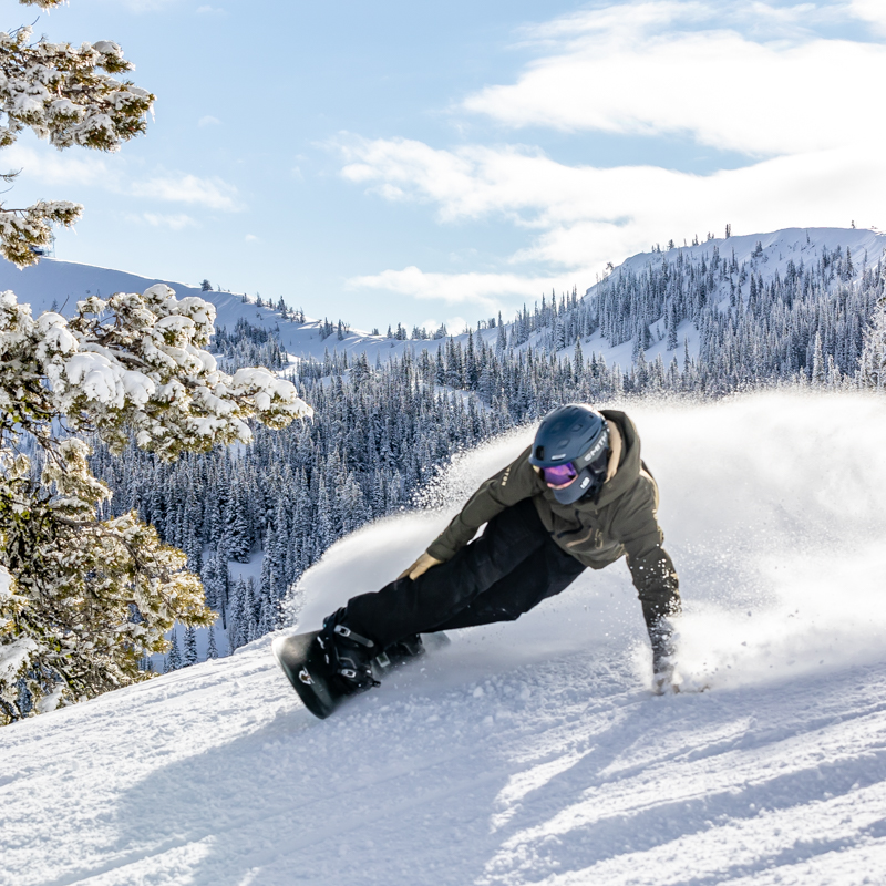 Snowboarder throwing snow into the sun with snowy tree and mountain background