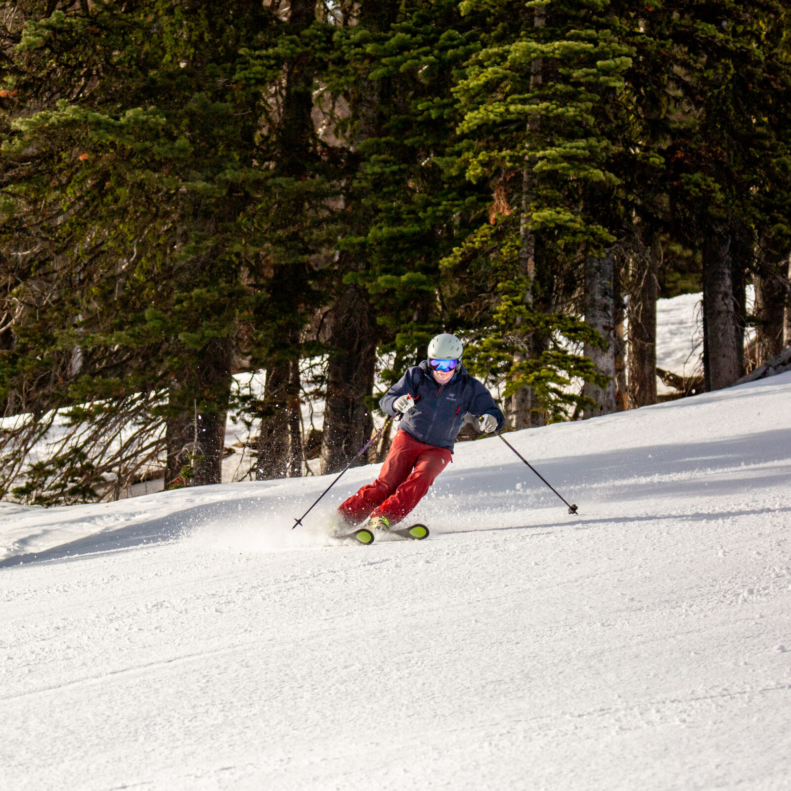 Skier going down the run Lip Lip on Chair 2 at Mission Ridge. Skier has red pants and there are green trees in the background. The sun is shining on the snow. Skier is carving on his skis.