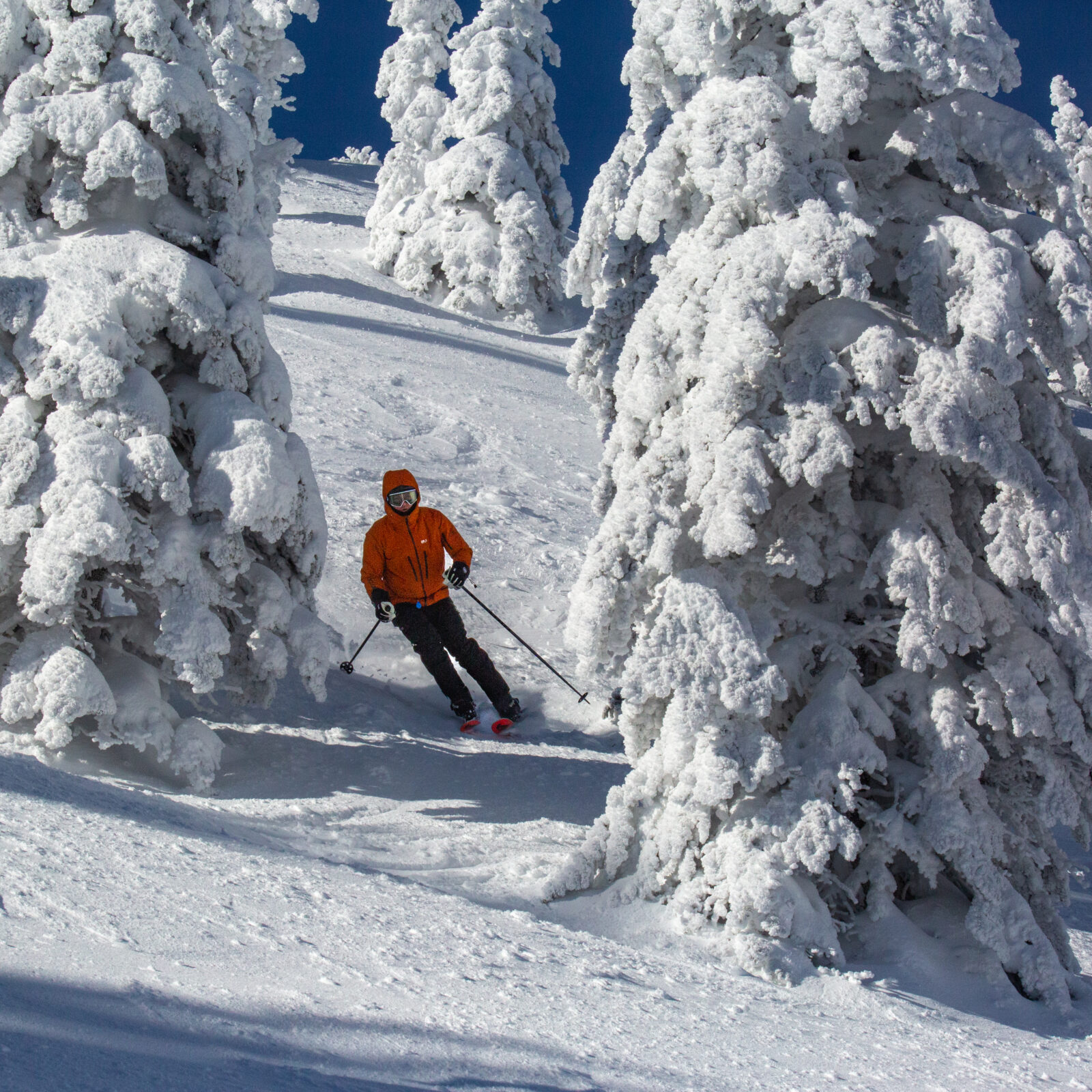 Skier wearing orange jacket is skiing between snow-covered trees off-trail near the top of Chair 2 at Mission Ridge. It is a mostly sunny day with some shady spots from the trees.