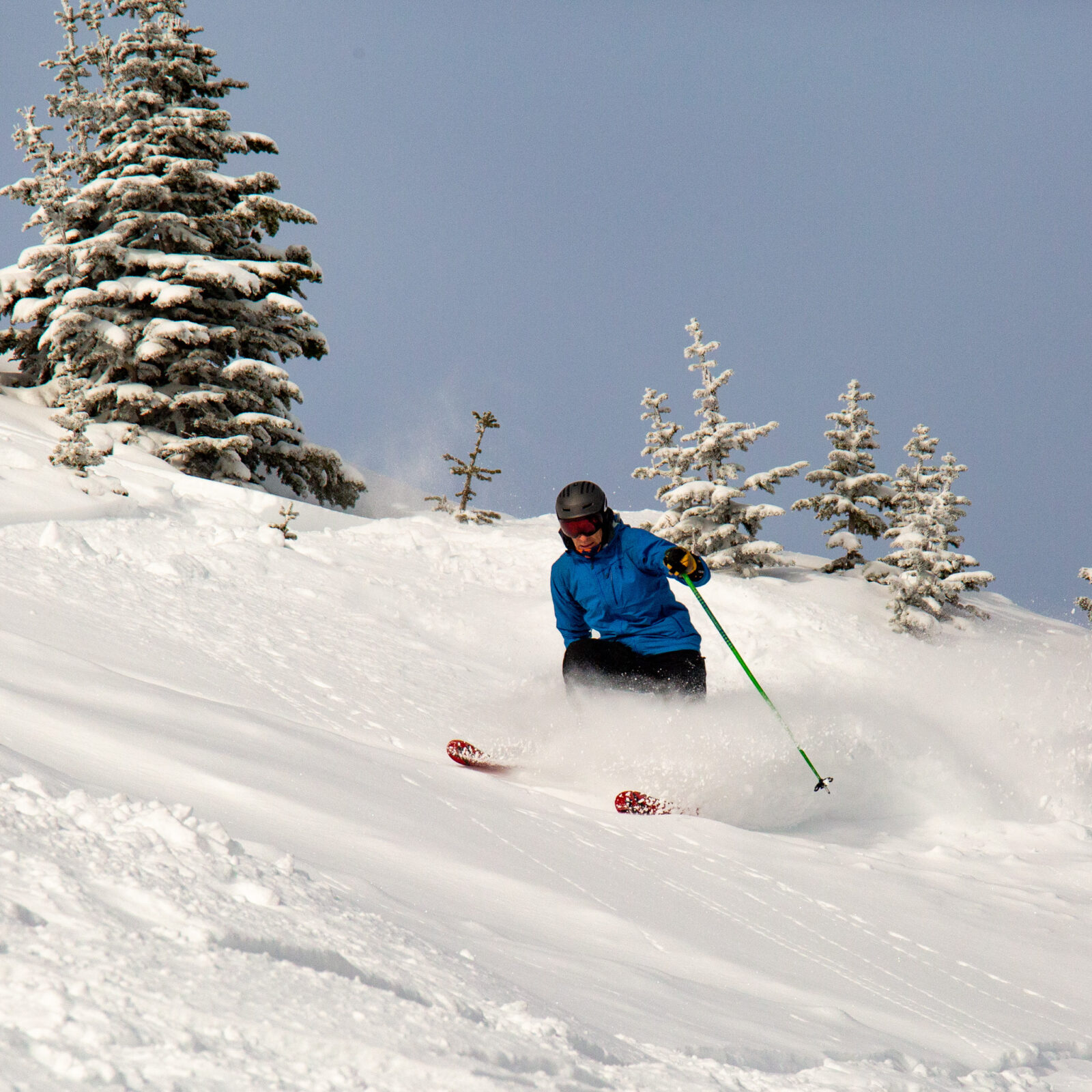 Skier on the run Tumwater 4 skis through powder. This run is off of Chair 2 at Mission Ridge. The snow is light and fluffy and there are snow covered trees in the background.