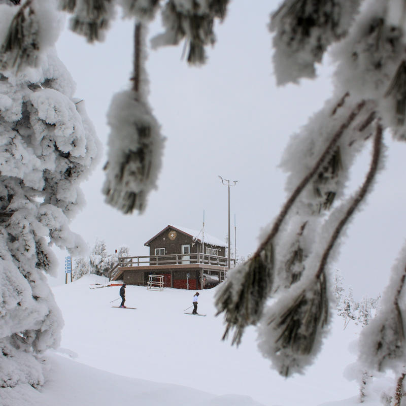 two skiers pass a patrol shack. the sky is overcast and coniferous trees are in the foreground