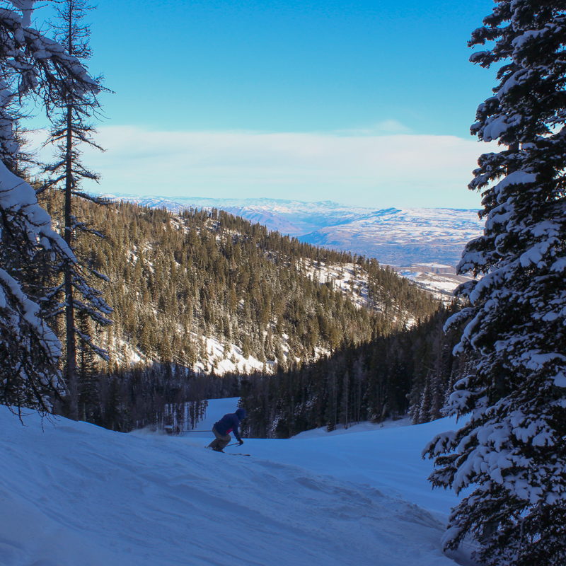 snowy conifers frame a skier and a mountainous valley view