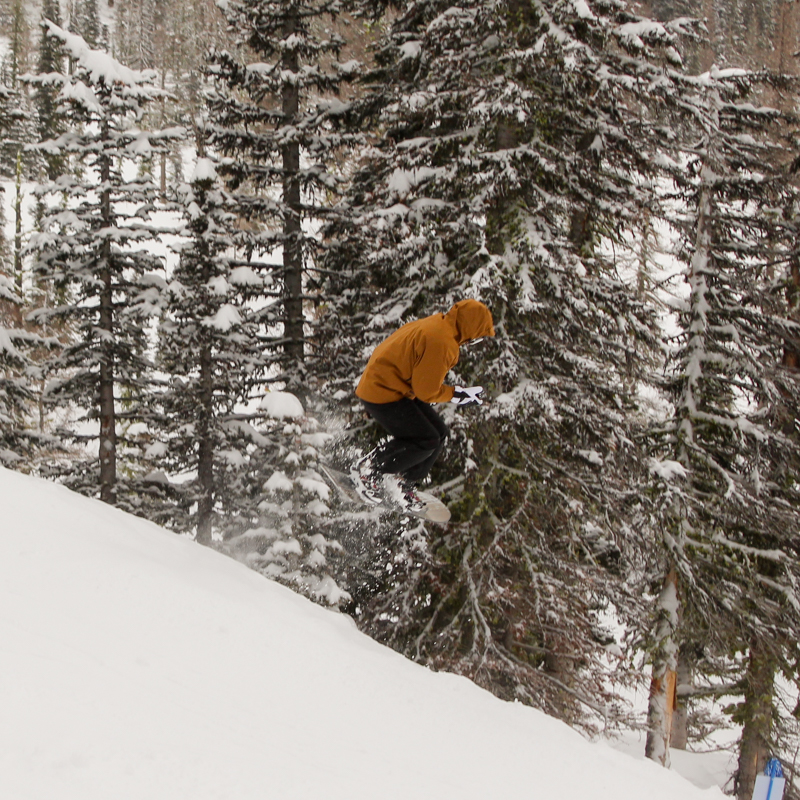 a snowboarder in yellow jumps into a run in front of coniferous trees