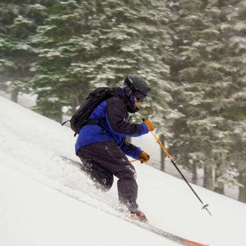 esteemed gentleman, Tele Tony I, teleturns down a soft slop in front of some teletrees