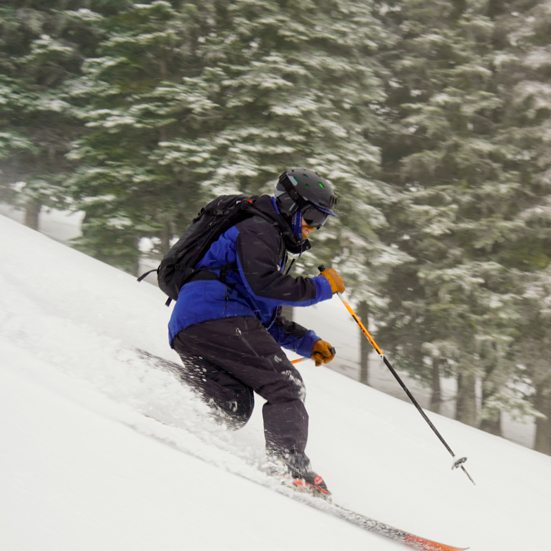 esteemed gentleman, Tele Tony I, teleturns down a soft slop in front of some teletrees