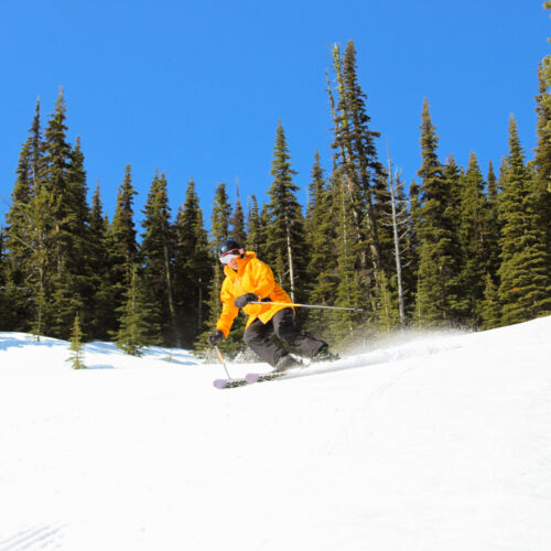 a male skier carves the cords on a sunny day