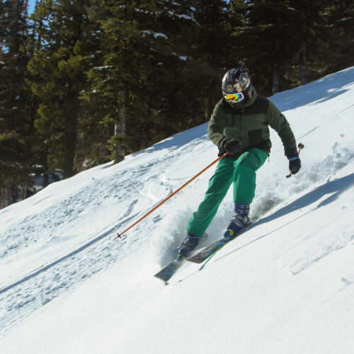 a young skier on a sunny forested run