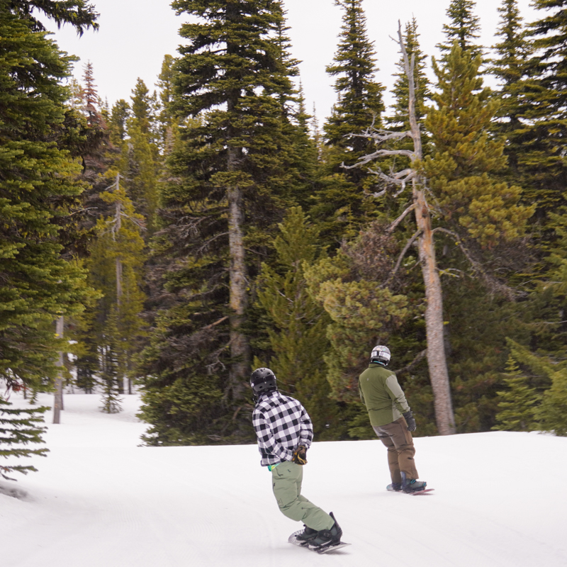 two boarders cruise a forested catwalk. Their clothes complement the trees