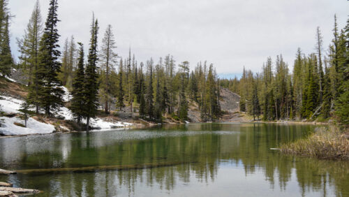 View of Lake Clara, a small lake with forest and snow in the background. 