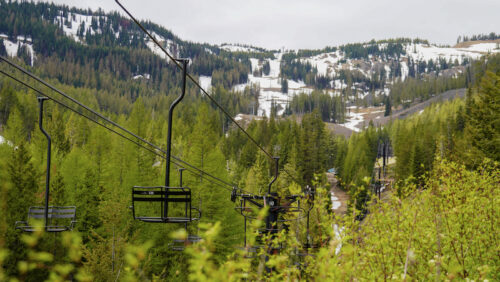 A view of a springtime forest with the bright green colors of new growth, with a snowy mountain in the background. A chairlift at a ski area traverse through the image. 