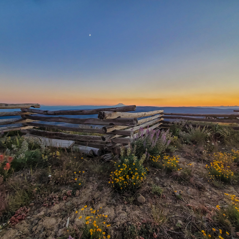 A sunset view from a Ridgeline with flowers in the foreground, a wooden fence in the middle, and an orange sunset in the background.