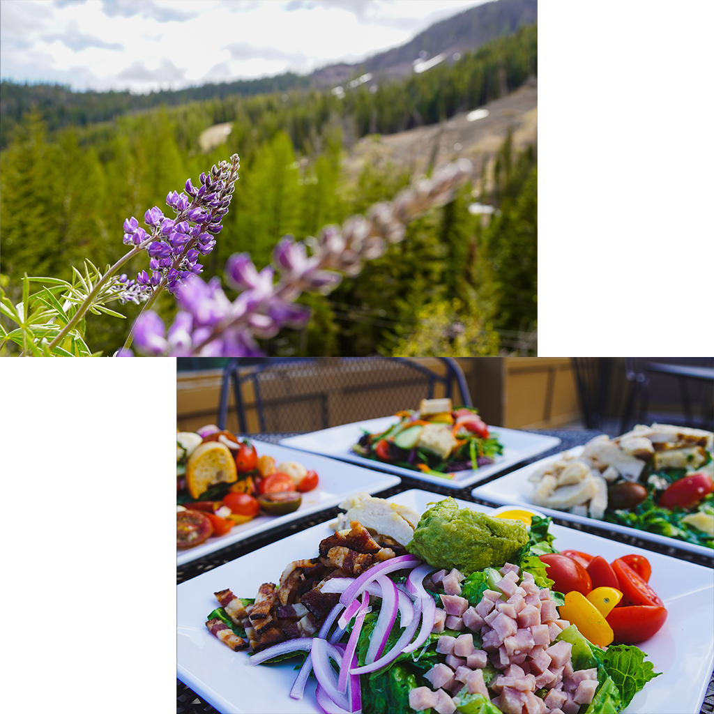 A split image showing a vibrant mountain setting. The top half features a close-up of a blooming purple wildflower with a blurred background of forested mountains and traces of snow. The bottom half displays a colorful assortment of gourmet salads served on white plates outdoors, including fresh vegetables, meats, and guacamole, set on a patio with metal chairs.