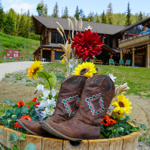 A photo of brown cowboy boots nestled amongst a pot of flowers, in front of a brown lodge building and its yard.
