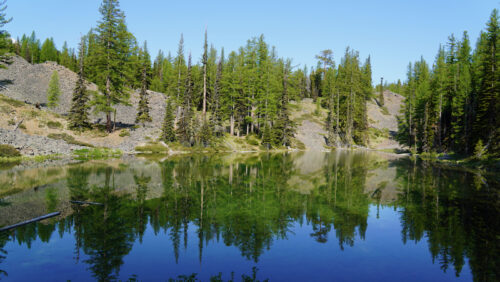 A scene of a lake with trees and blue sky in the background, and those elements reflected in the foreground.
