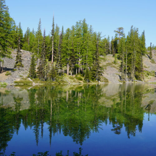 A scene of a lake with trees and blue sky in the background, and those elements reflected in the foreground.