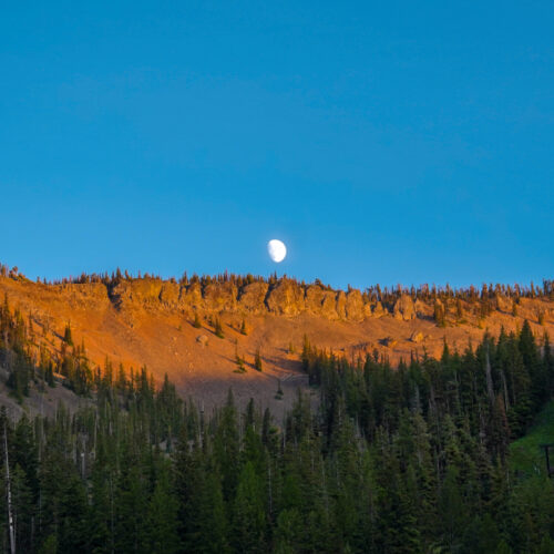 A bright half moon rises above a rugged ridgeline bathed in warm golden light, contrasting against a deep blue sky. Below, dense evergreen forest blankets the lower slopes, creating a dramatic transition from shadowed trees to sunlit rock.