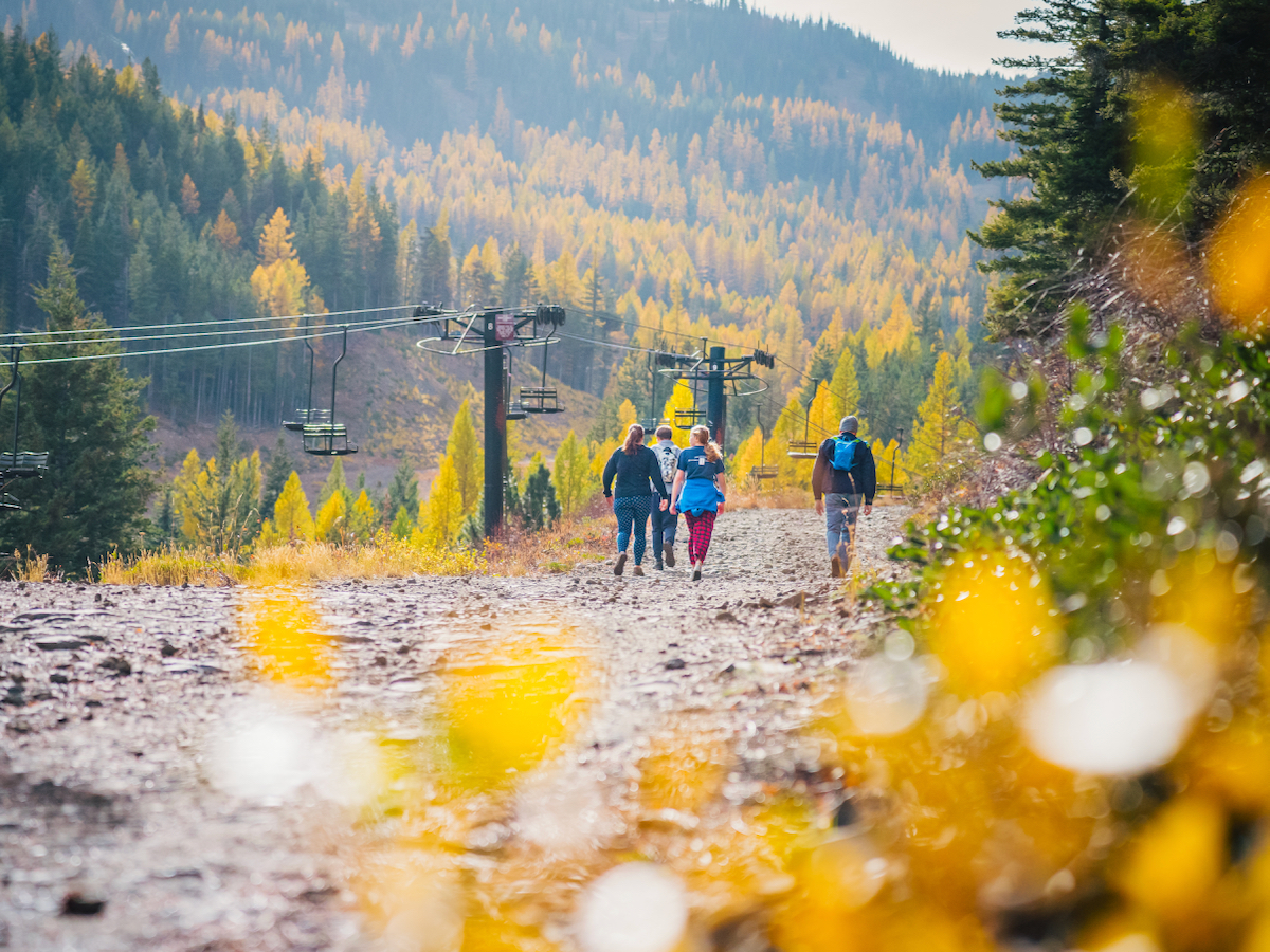 A group of hikers traveling up a gravel road at Mission Ridge with yellow fall foliage in the foreground and background.