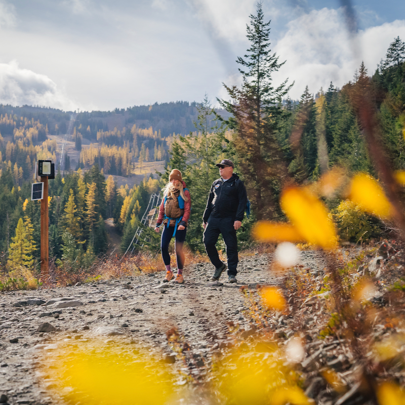 Two hikers take in the fall colors of Mission Ridge, including the golden tamarack trees, as they walk on a dirt road.