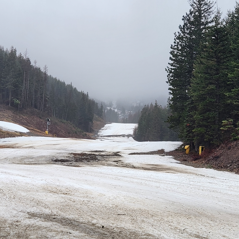 The Mimi trail at Mission Ridge on a rainy day with patchy snow coverage.
