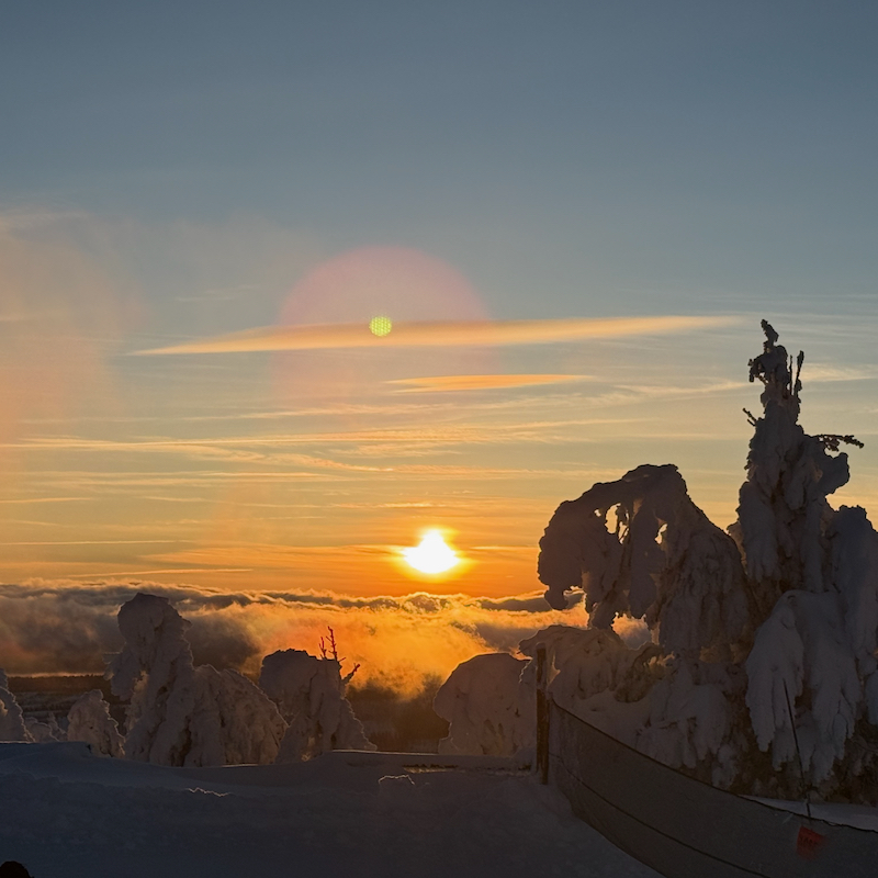 Sunset over the clouds at Mission Ridge with some snowy trees in the foreground.