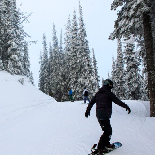 A snowboarder follows friends on a snowy, forested road