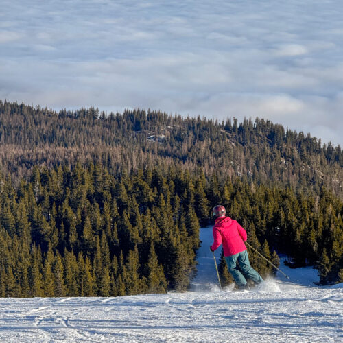 a woman in pink skis toward a sunny forested valley socked in an inversion