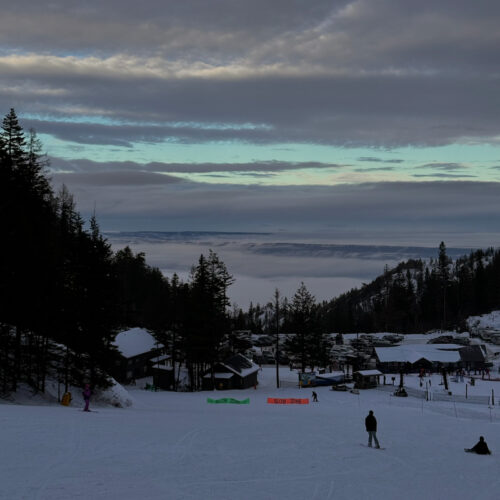 A view along the Mimi trail at Mission Ridge In the low light of late afternoon.