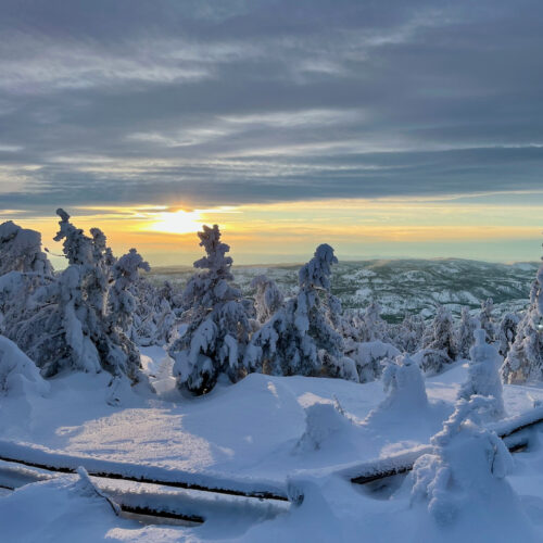 Sunset over Mission Ridge with snowy trees in the foreground.