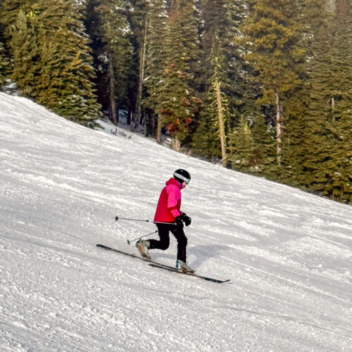 a telemark skier in pink drops a knee on a forested hill