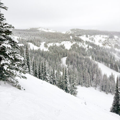 Mountain View of Mission Ridge with fresh snow on the treetops on a cloudy day.