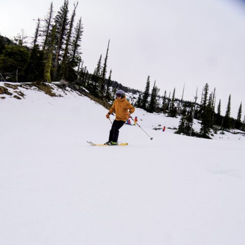 Skier in yellow jacket skiing in front of trees
