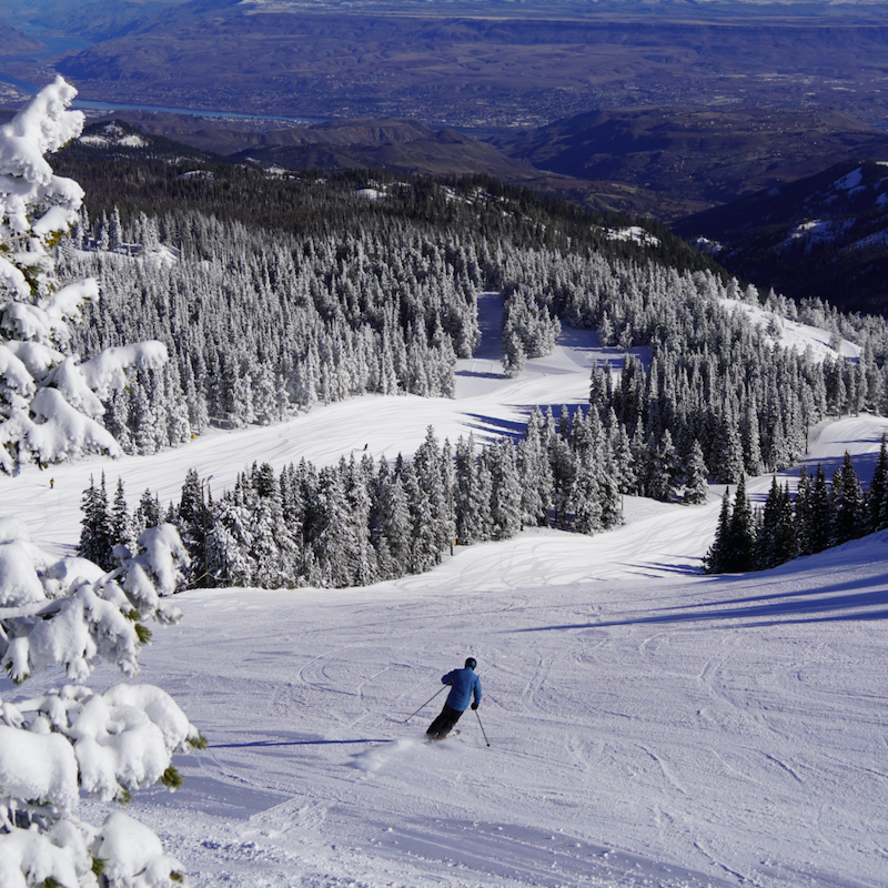 a skier descends the Sunspot trail on Mission Ridge on a sunny day, carving into some fresh cords.