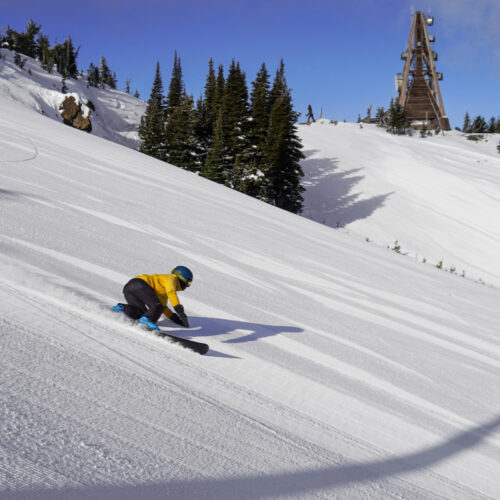 A monoskier descends the Sunspot Trail at Mission Ridge on a sunny day.