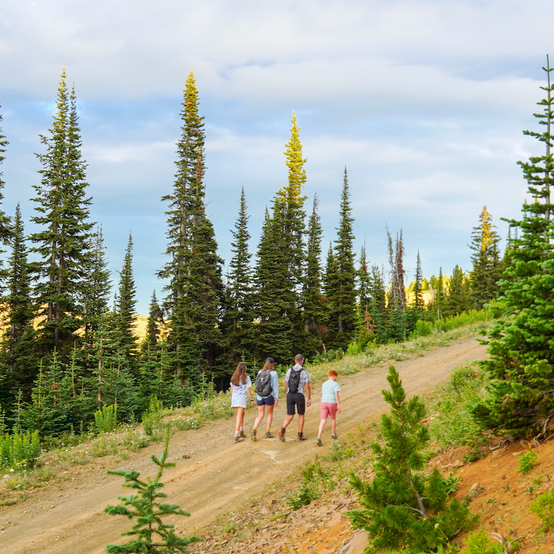 A family hikes on a dirt road in the forest on a mountanside.