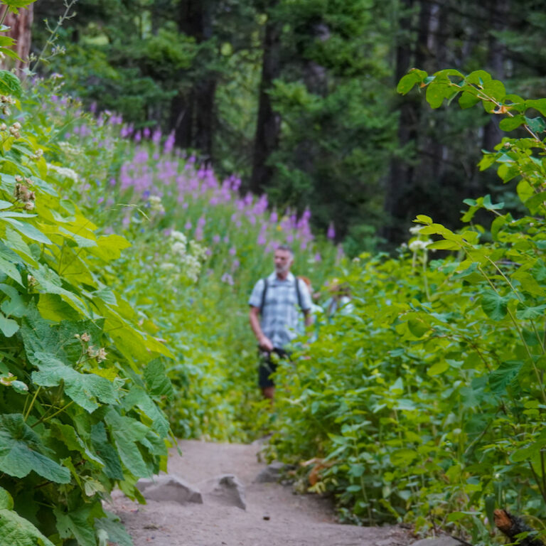Mission Ragi Summer | Mission Ridge Ski and Board Resort