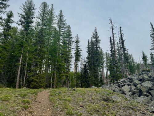 Squilchuck Trail winds through open forest and intermittent talus.