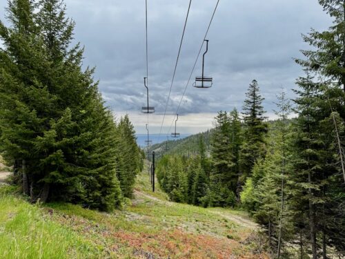 View down the Chair 1 Liftline at Mission Ridge in the summer.