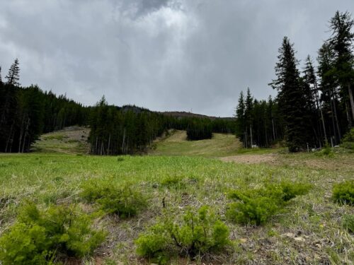 View from Midway looking towards Wenatchee Moutnain in the summer.