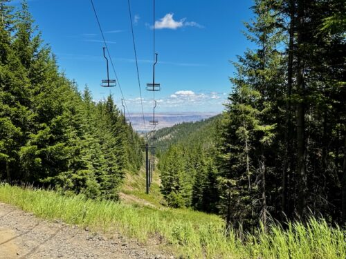 looking down the chair 1 liftline toward the wenatchee valley