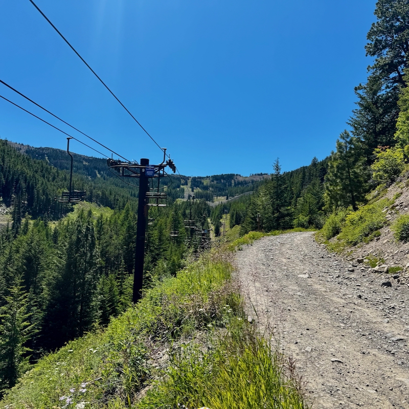 looking up the chair 1 liftline toward the mission ridge upper basin