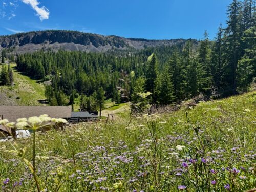 view of wenatchee mountain and the mission ridge lodge from behind the lodge