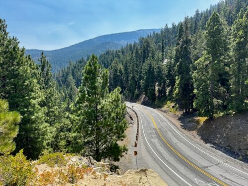 Squilchuck Road traverses a forested hillside in summer.