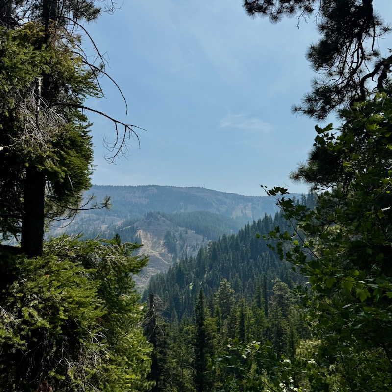 Wenatchee Mountain viewed from the Pipeline Trail in summer